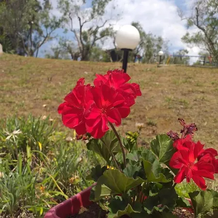 Cortessa Nikiti (Sithonia)