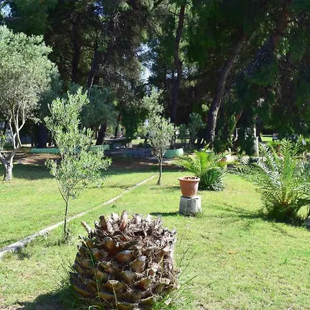 Cortessa Hotel apartamentowy Nikiti (Sithonia)
